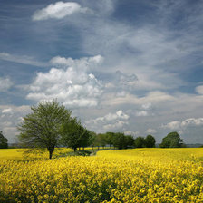 Схема вышивки «пейзаж»