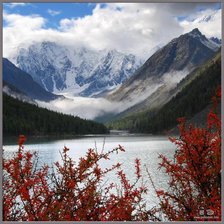 Схема вышивки «пейзаж»