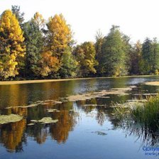Схема вышивки «пейзаж»
