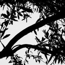 Схема вышивки «№266633»