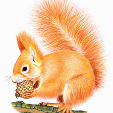 Схема вышивки «Белочка»