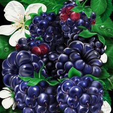 Схема вышивки «Ежевика»