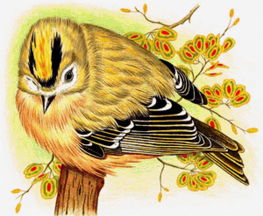 Серия "Птицы" - цветы, птицы - предпросмотр