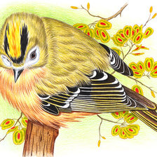 Схема вышивки «Серия "Птицы"»