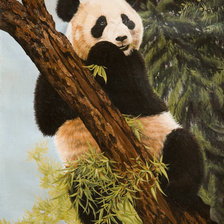 Схема вышивки «Панда»