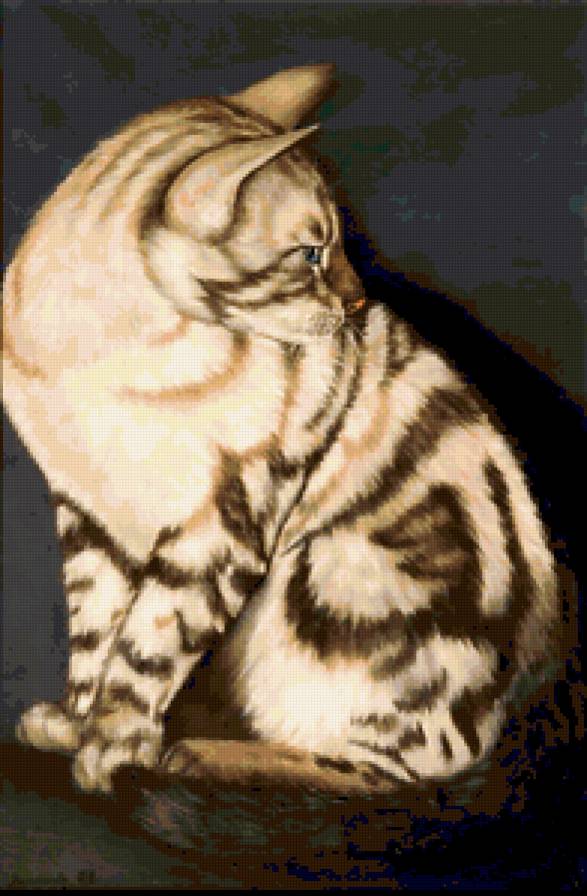 Серия "Кошки" - кошки, животные - предпросмотр