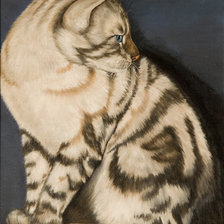 Схема вышивки «Серия "Кошки"»