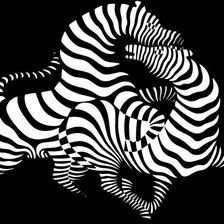 Схема вышивки «Зебры»