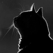 Схема вышивки «В ночи.»