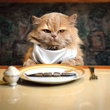 Схема вышивки «Рыбка -сэр.»