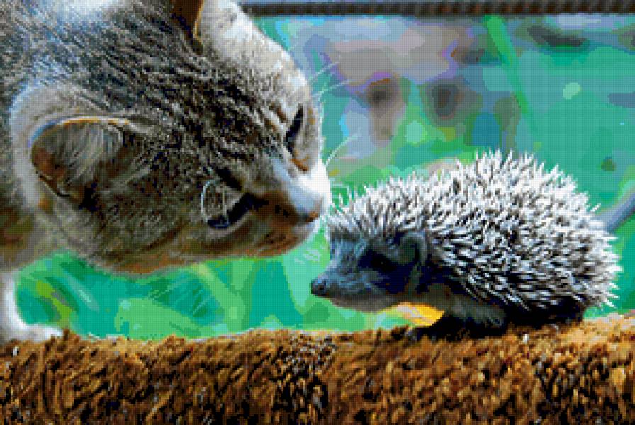 Ты кто? - кот, ежик - предпросмотр