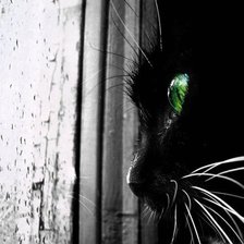 Схема вышивки «А за окном дождь.»