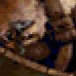 Предпросмотр схемы вышивки «Морской кот.» (№266877)