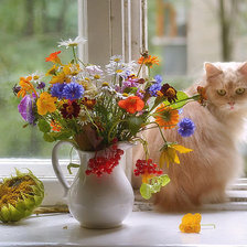 Схема вышивки «На подоконнике.»