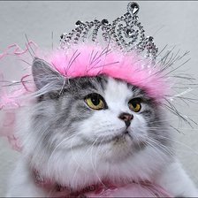 Схема вышивки «Вот какая я принцесса.»