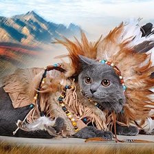 Дикий запад.