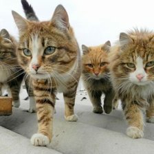 Схема вышивки «Бригада.»