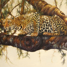 Схема вышивки «большие кошки»