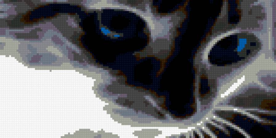 кошка - кошка., животное - предпросмотр