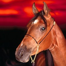 Схема вышивки «Лошадь на фоне заката»