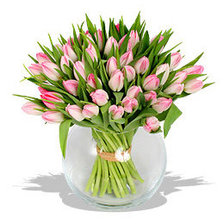 Схема вышивки «тюльпан3»