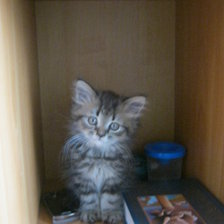 Схема вышивки «баксик»