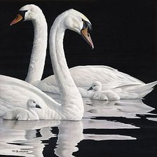 Схема вышивки «лебединая семья»