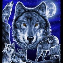 Схема вышивки «Волки»