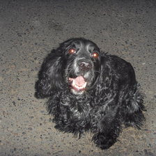 Схема вышивки «даночка»