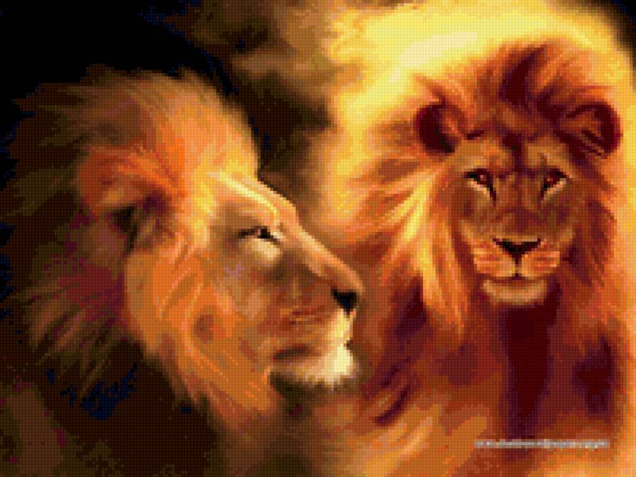 пара львов - львы - предпросмотр