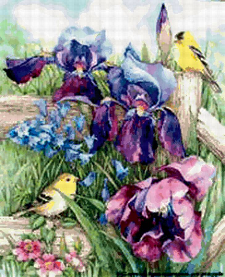 Лето - пейзаж, цветы, лето, птицы, ирисы - предпросмотр