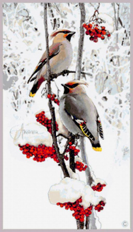 Серия "Птицы" - пейзаж, зима, рябина, ягоды, птицы - предпросмотр