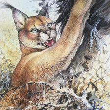 Схема вышивки «Серия "Большие кошки"»