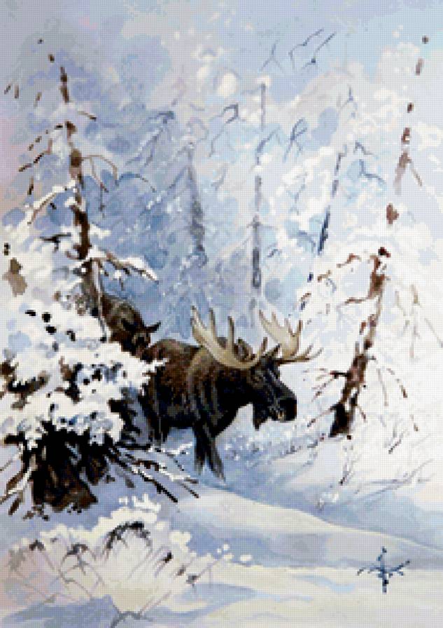 Зимние прогулки лосей - животные, зима, лоси, пейзаж - предпросмотр