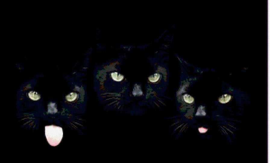 трио - любимцы, кошки, трио, коты, неприятности - предпросмотр