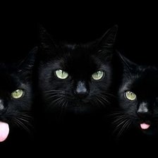 Схема вышивки «трио»