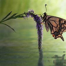 Схема вышивки «№267844»