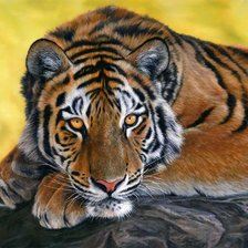 Схема вышивки «тигр»