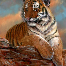 Схема вышивки «тигр»