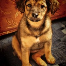 Схема вышивки «малыш»