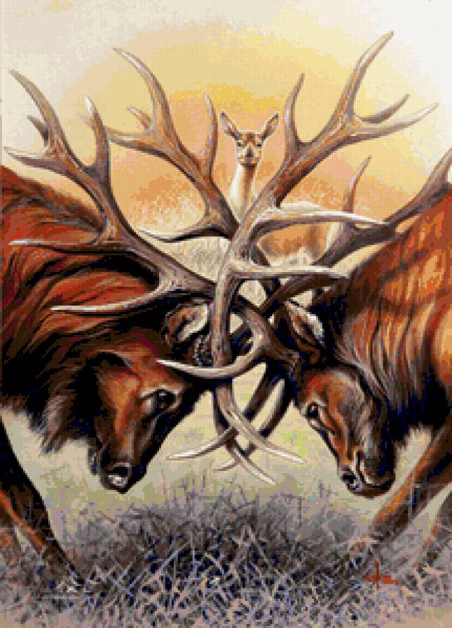 Противостояние - олени, животные - предпросмотр