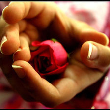 Схема вышивки «Бутон в ладонях»