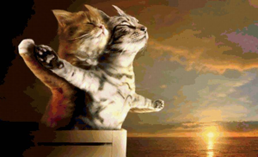 Титаник - кот, любовь - предпросмотр