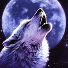 Схема вышивки «волк»