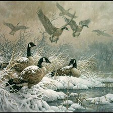 Схема вышивки «утки»