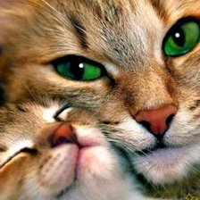 Схема вышивки «Мама и малыш»