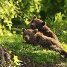 Схема вышивки «Мишутки»