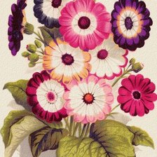Схема вышивки «букет цветов»