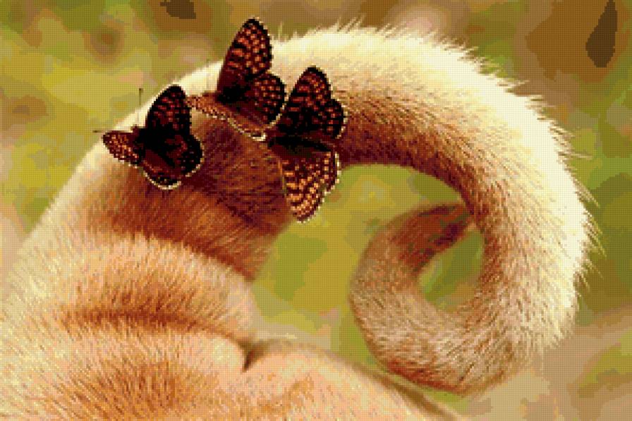 Хвостик в бабочках - собака, бабочки - предпросмотр