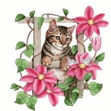 Схема вышивки «подушка»